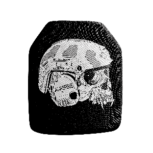 Pack WARFIGHTER Panalva Casque Aramide et Plaques IV